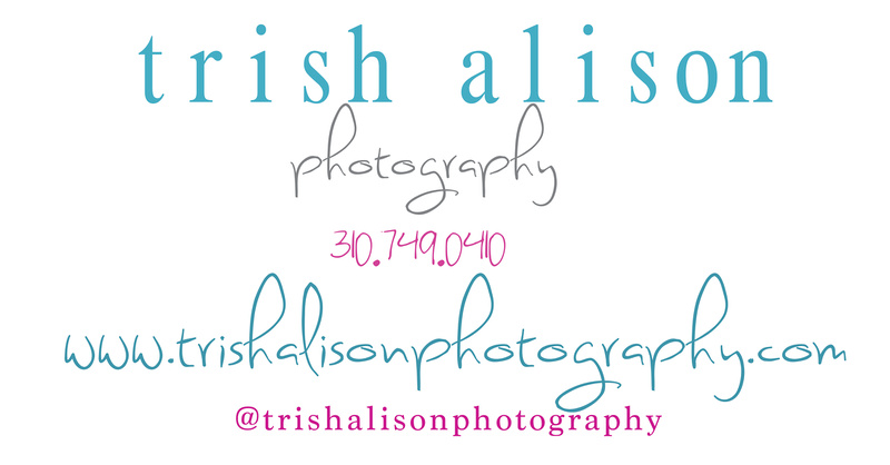 trishlogoFINAL copy